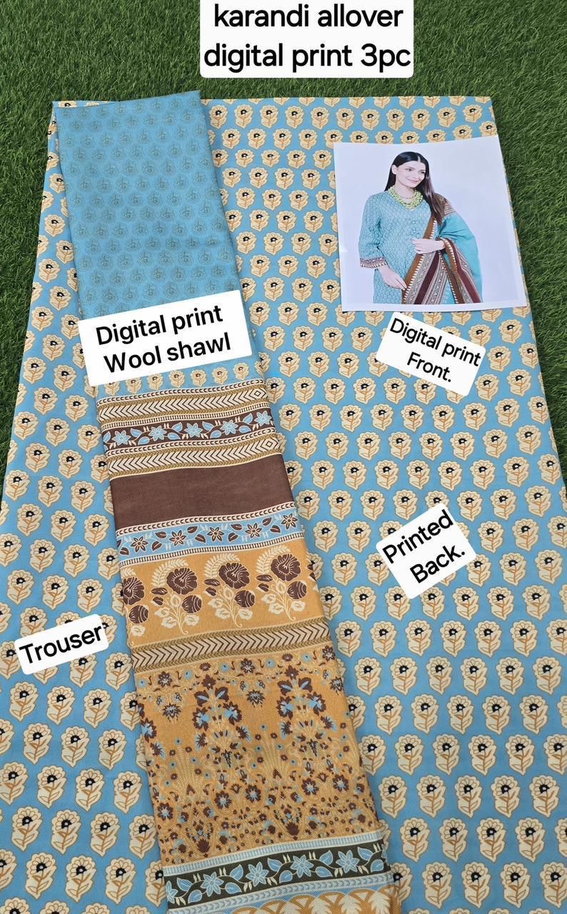 Lavish Premium Karandi 3 Pcs